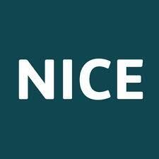 Nice logo