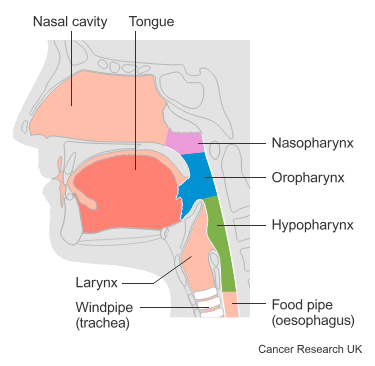 Diagram for trial