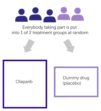 POLO1 Trail Diagram