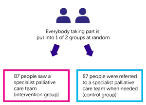 RESPECT-Meso Trial Diagram