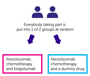 Skyscraper 02 Trial Diagram
