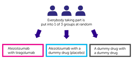 SKYSCRAPER 07 Trial Diagram