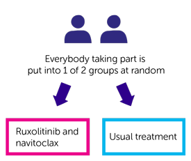 TRANSFORM 2 Trial Diagram