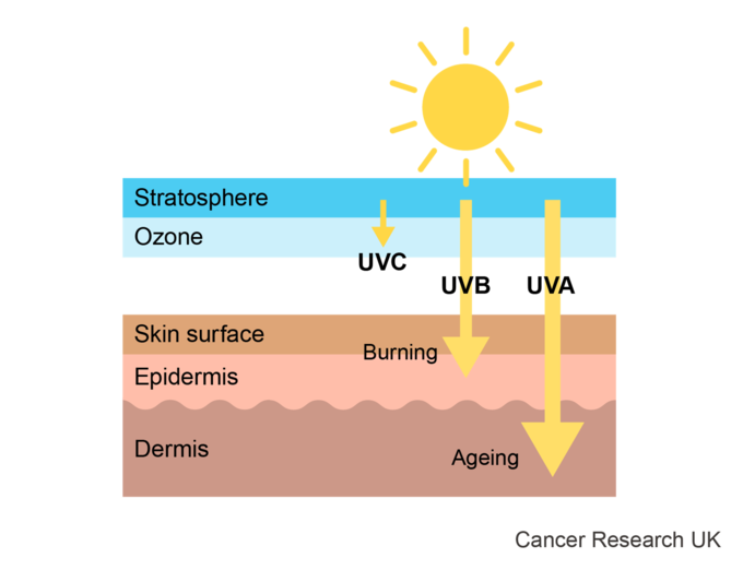 The sun releases UVA and UVB radiation which can penetrate and damage our skin. UVC radiation is also released by the sun but it is blocked by the ozone layer.