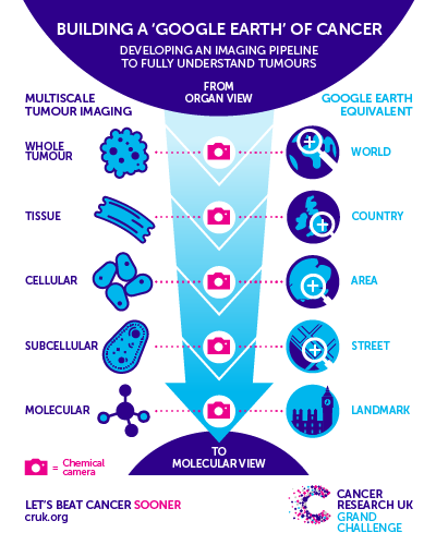 Studying Tumour Metabolism From Every Angle Cancer Research Uk