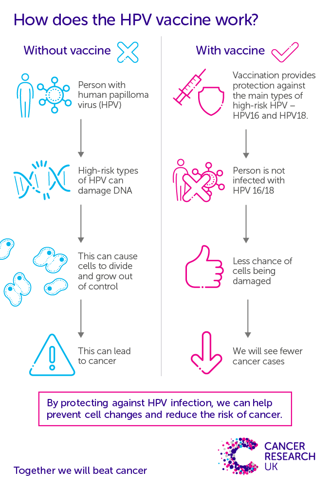 How the HPV vaccine works