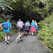 Group of supporters on a walk