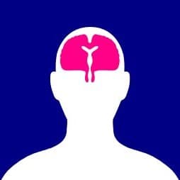 Medical icon showing the brain.